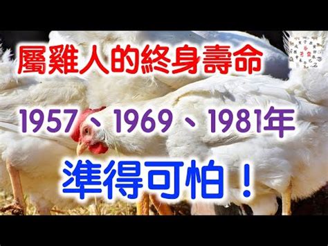 1981雞五行|【1981 雞 五行】1981年雞五行屬啥？缺什麼、運勢如何，一次告。